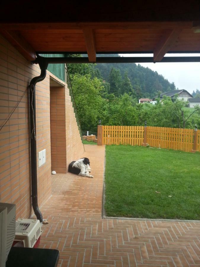 Sostanj Velenje Ravne Sobe Rooms Vrtacnik D O O Exterior photo